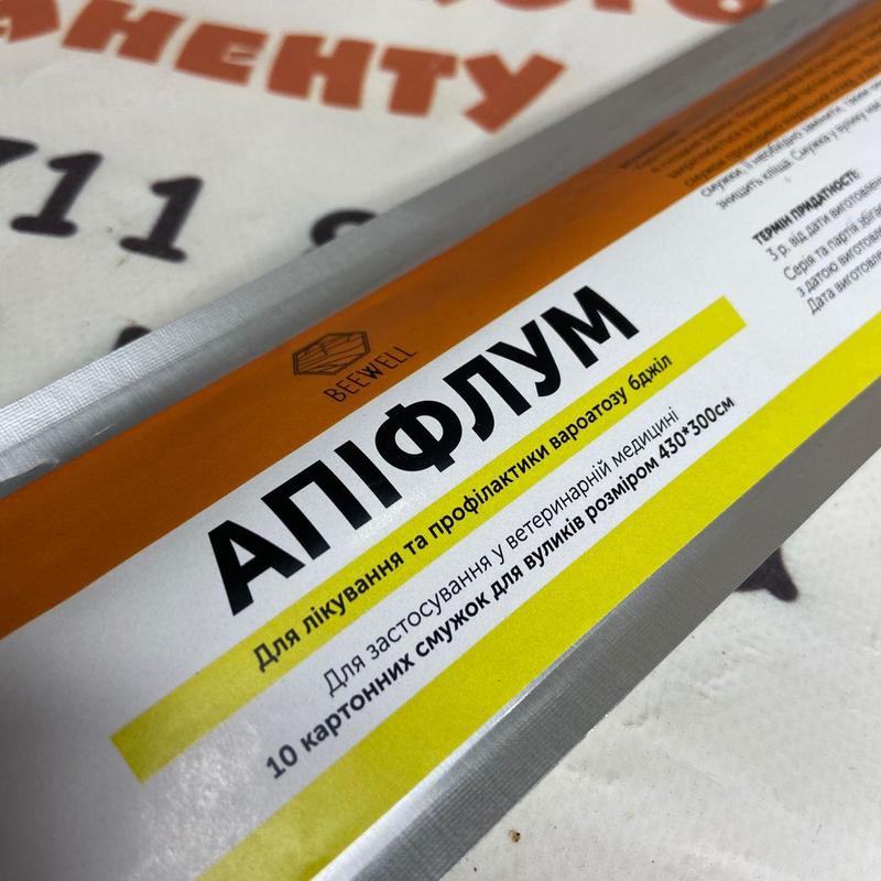 Photo 2020 09 25 11 33 31