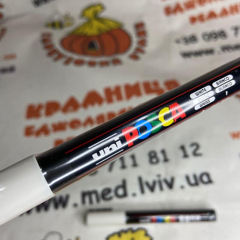 Photo 2020 09 25 14 17 49