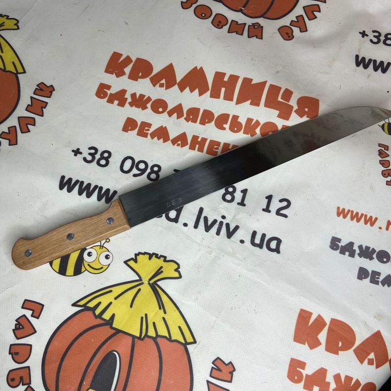 Photo 2020 09 25 18 41 16