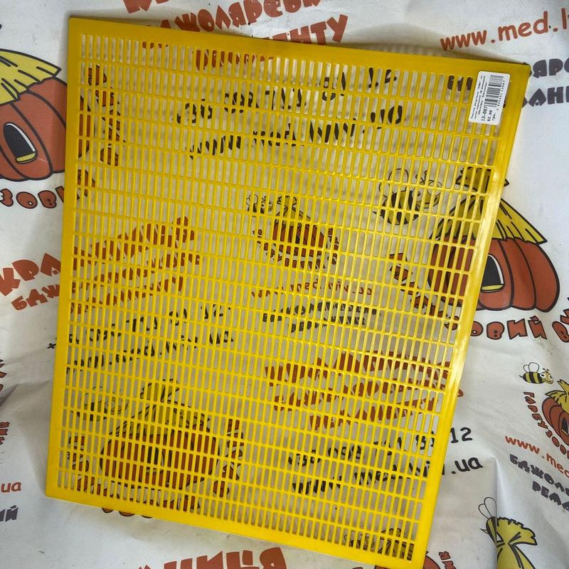 Photo 2020 09 25 18 25 10