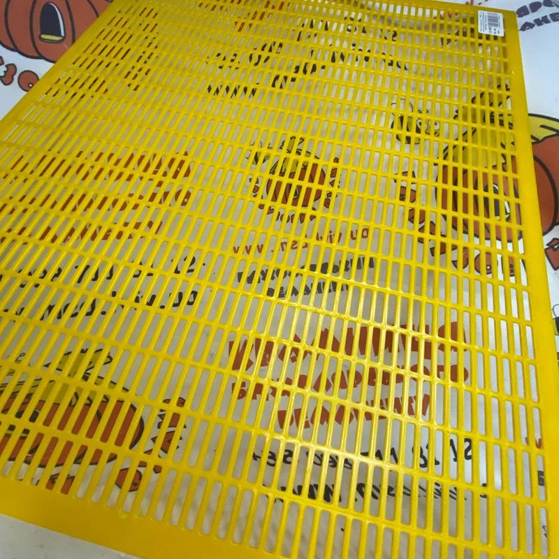 Photo 2020 09 25 18 25 11