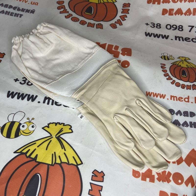 Photo 2020 09 26 14 05 09