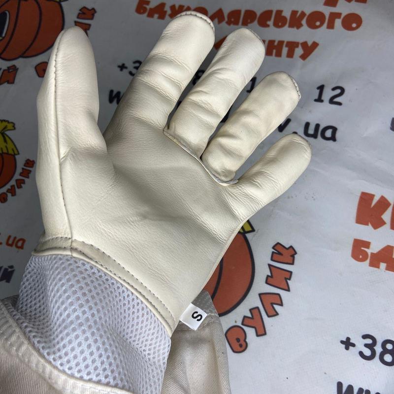 Photo 2020 09 26 14 05 12