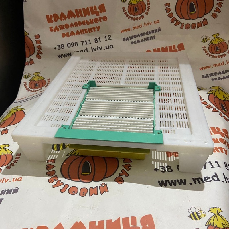 Photo 2020 11 17 11 00 27