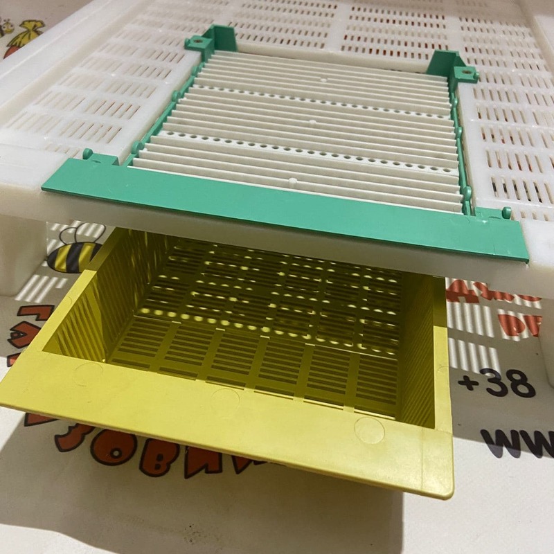 Photo 2020 11 17 11 00 28