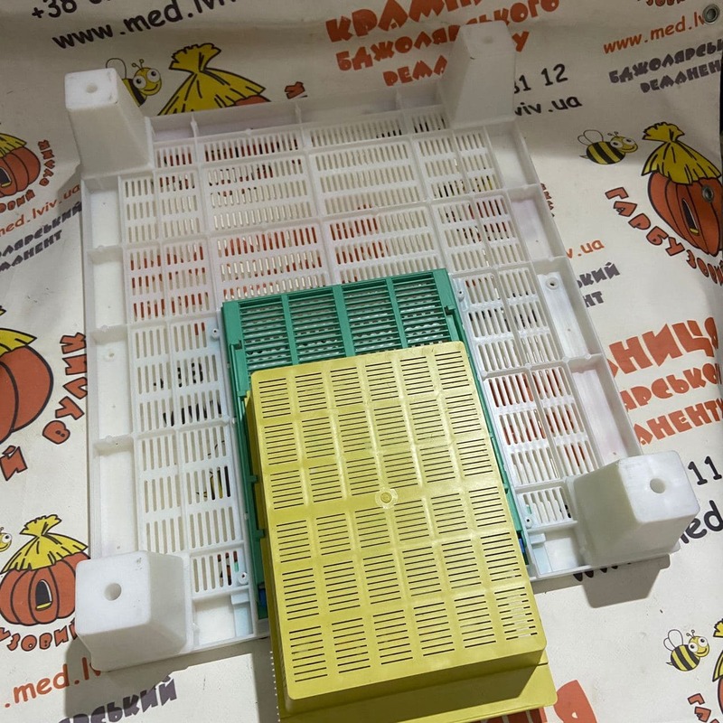 Photo 2020 11 17 11 00 31