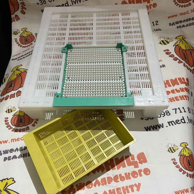 Photo 2020 11 17 11 00 32