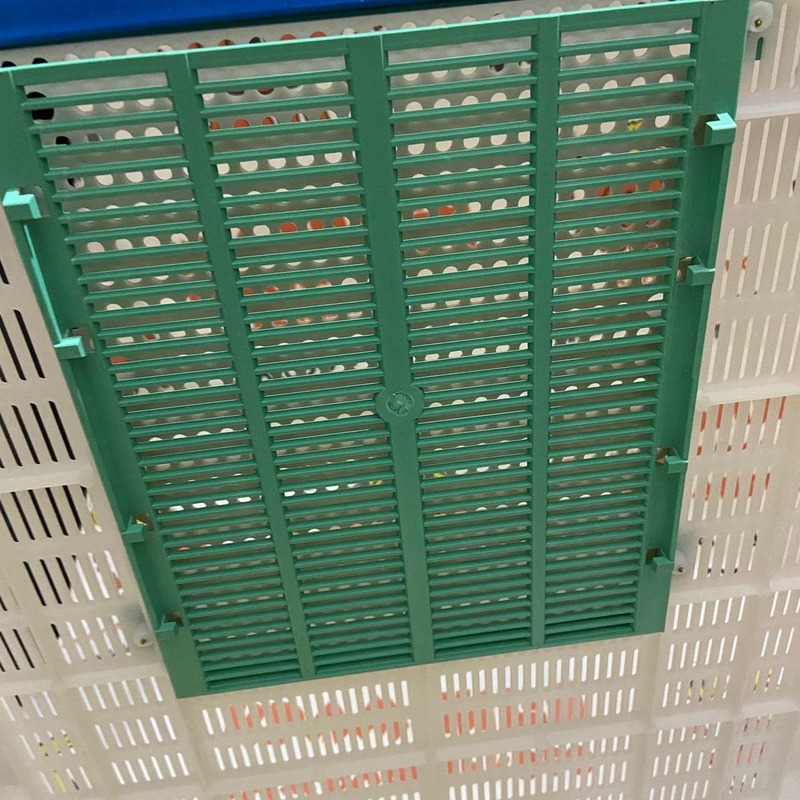 Photo 2020 11 17 11 00 38