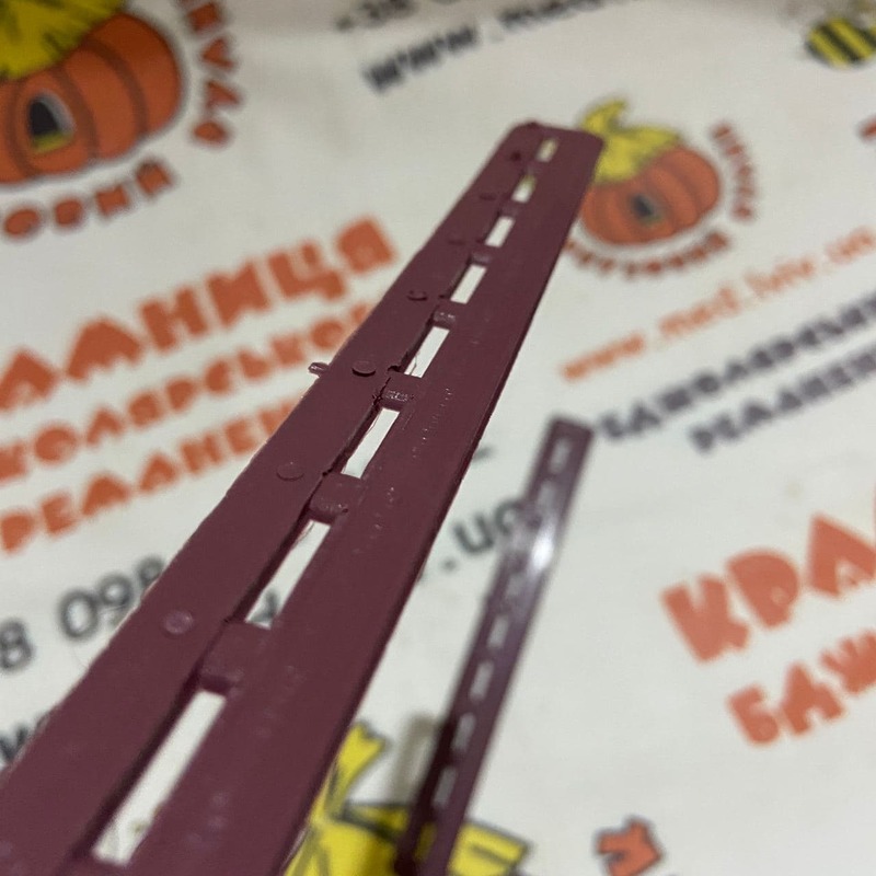 Photo 2020 11 17 11 00 55