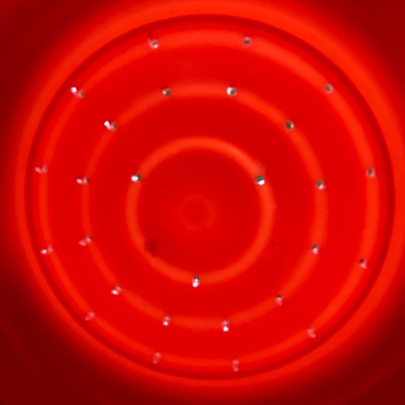 Photo 2020 11 17 11 01 00  2 