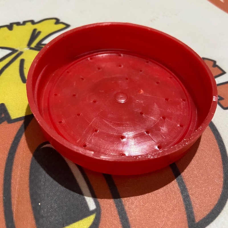 Photo 2020 11 17 11 01 02