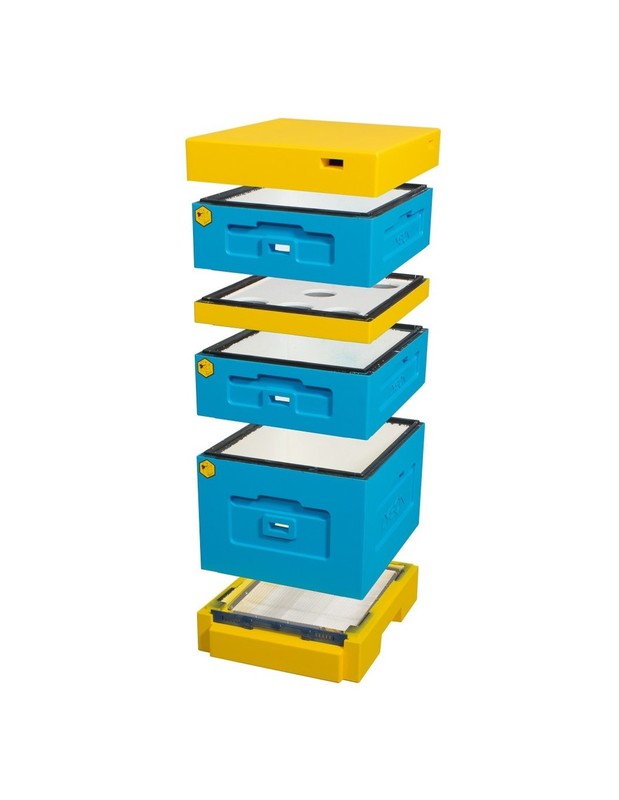 Ul dadant z dennica higieniczna  1 