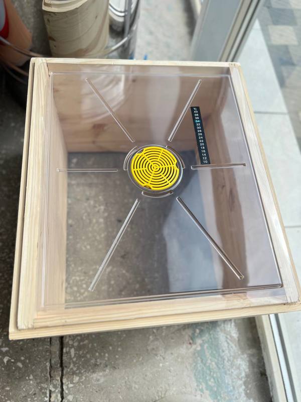 Photo 2023 08 08 16 38 23